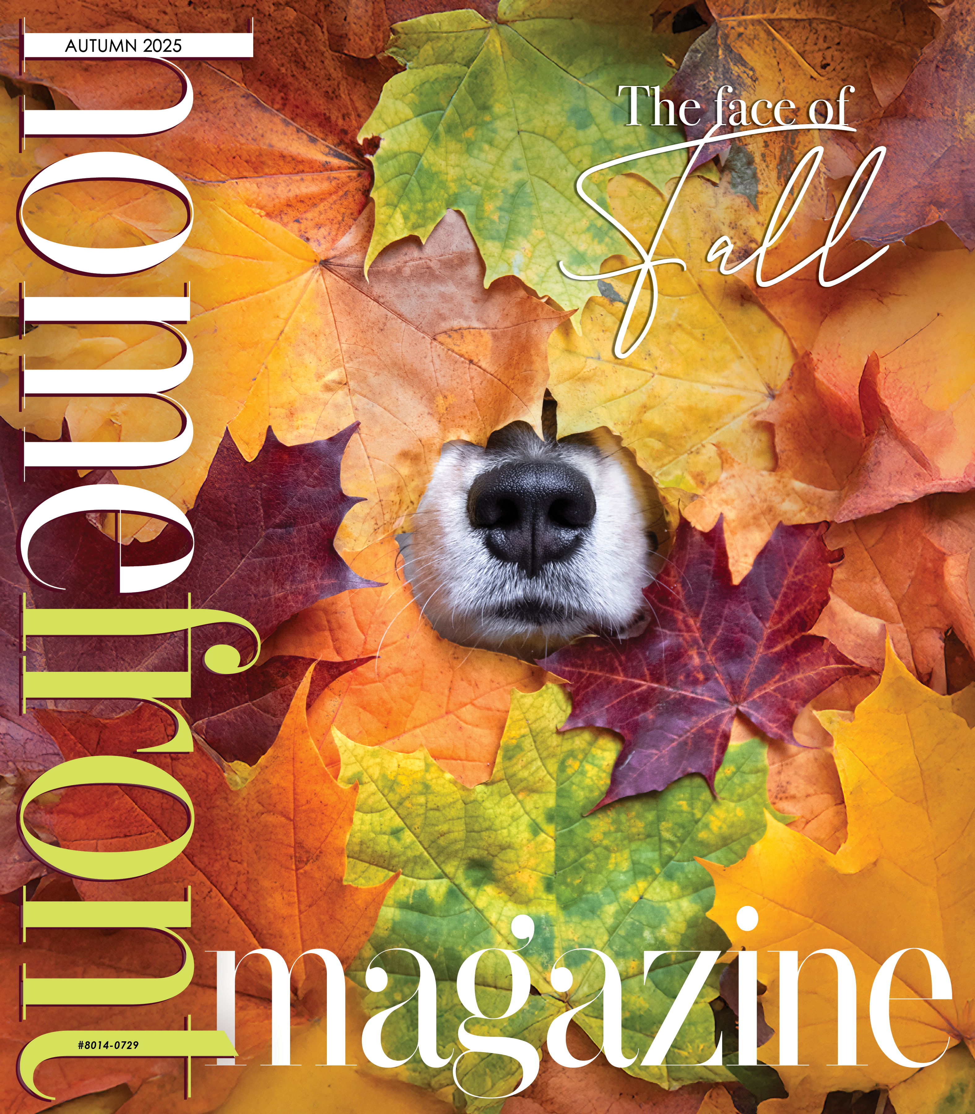 2025 fall Homefront